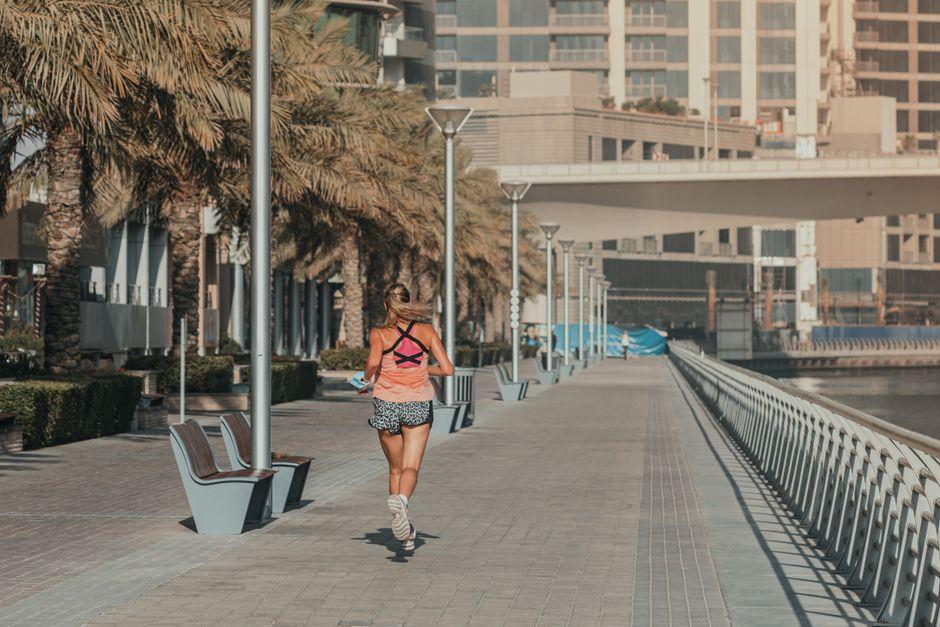 Paws, Pull-ups and People: Dubai's Dog-Friendly Parks Are Rewriting the Fitness Social Scene