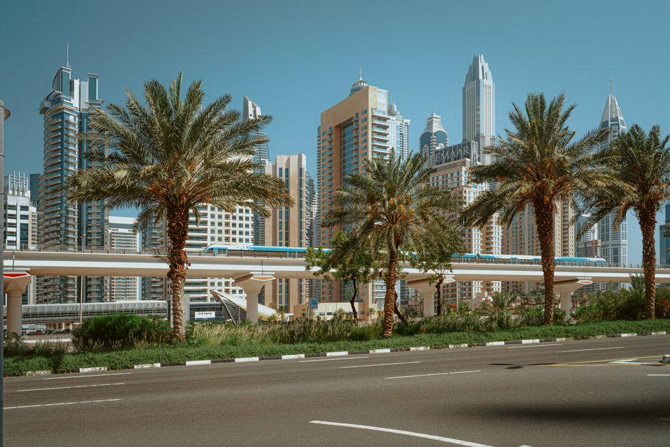Palm Trees Between Asphalt Road and Railway